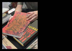 n°53 — Photobook: The New Face of Photophilia. Author: Clément Chéroux + book selection with Théophile Calot