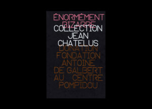 Énormément bizarre. Collection Jean Chatelus. Donation Fondation Antoine de Galbert au Centre Pompidou