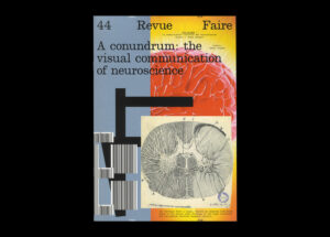 n°44 — Une énigme : la communication visuelle des neurosciences. Auteur : James Langdon