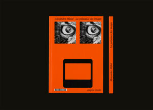 La puissance des images, Alexandra Midal