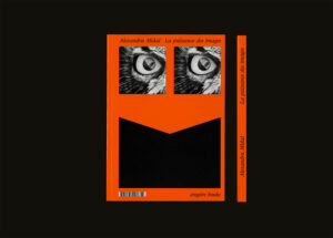 La puissance des images, Alexandra Midal